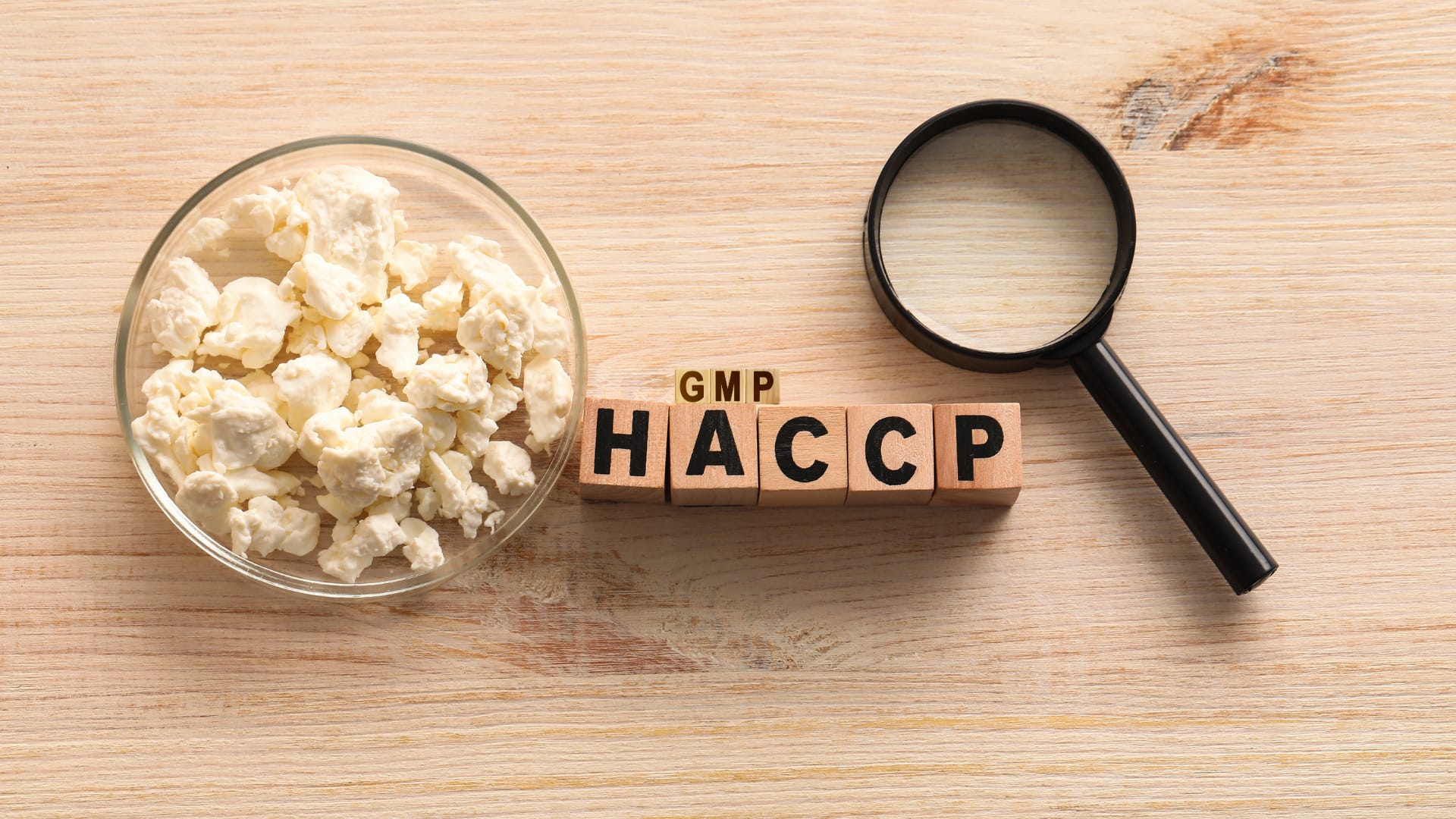 เจาะลึกมาตรฐาน HACCP & GMP ทำไมความปลอดภัยในโรงงานอาหารถึงสำคัญต่อคุณ?